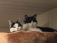 ein Bild aus dem Album